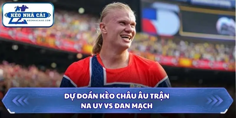 Soi kèo nhà cái Na Uy vs Đan Mạch qua kèo 1x2