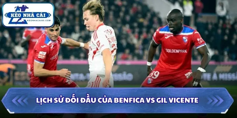 Soi kèo nhà cái Benfica vs Gil Vicente qua đối đầu gần đây